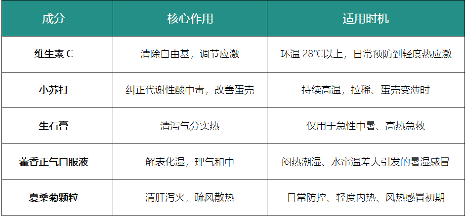 67a528a2a6f81143237e2632a266db96.png